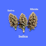 Splift: Indica Efectos