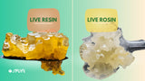 live resin vs live rosin