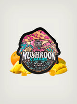 tre house mushroom gummies mexico